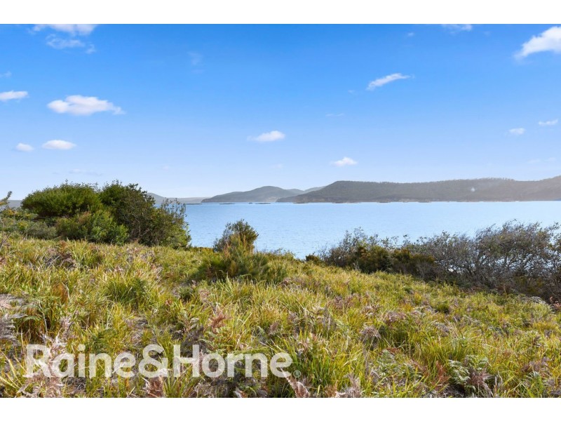 584 White Beach Road, White Beach TAS 7184