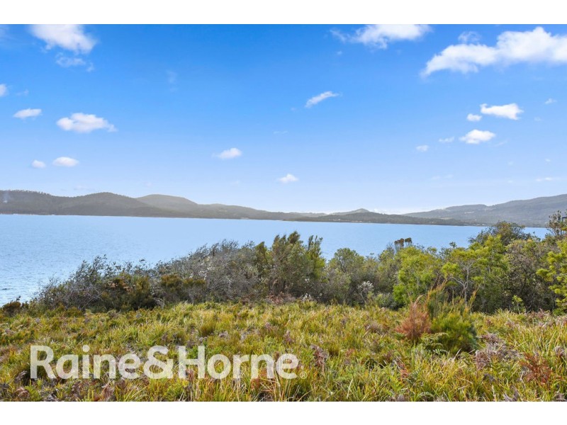 584 White Beach Road, White Beach TAS 7184
