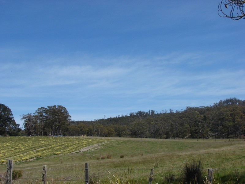 Sloping Main TAS 7186