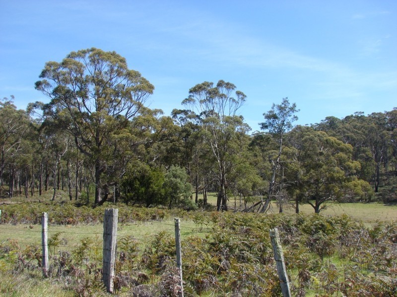 Sloping Main TAS 7186