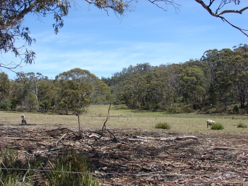 Sloping Main TAS 7186