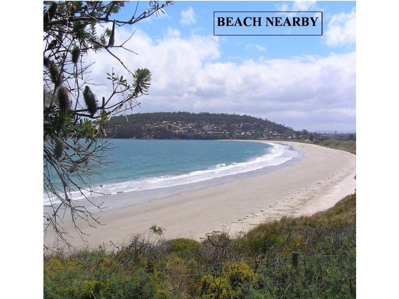 19 SPIREA STREET, Primrose Sands TAS 7173