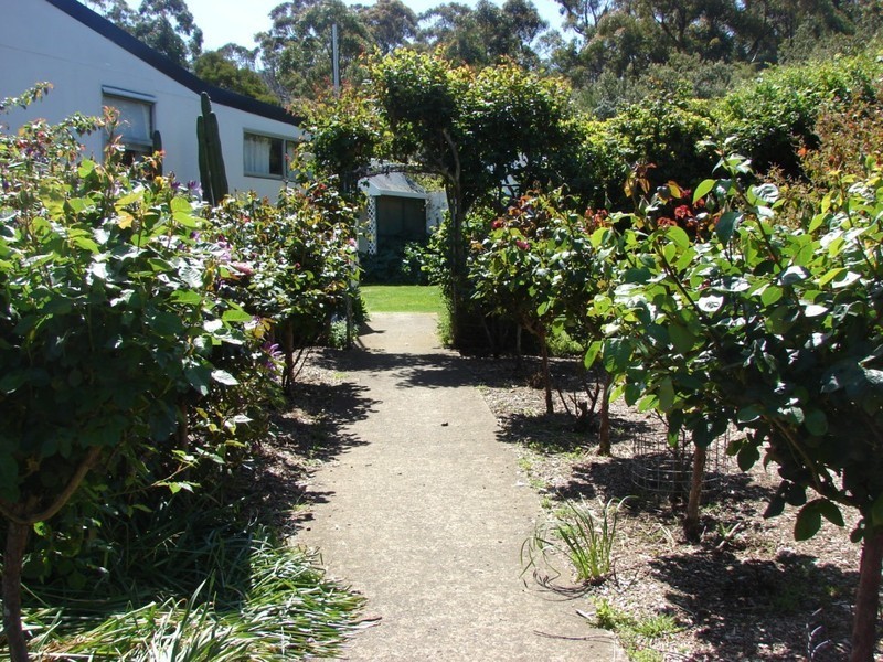 100 Old Jetty rd, Eaglehawk Neck TAS 7179