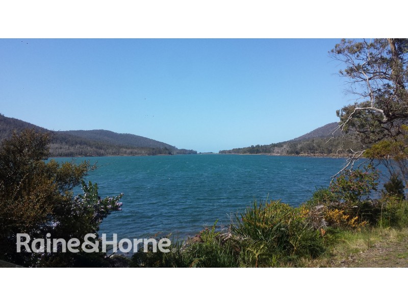 Lot 1 Mason Point Road, Eaglehawk Neck TAS 7179