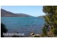 Lot 1 Mason Point Road, Eaglehawk Neck TAS 7179