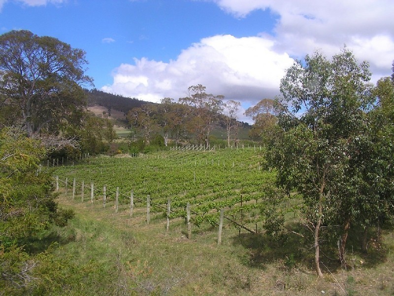 208 Nugent Road, Sorell TAS 7172