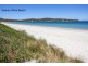 21 Fox Avenue, White Beach TAS 7184