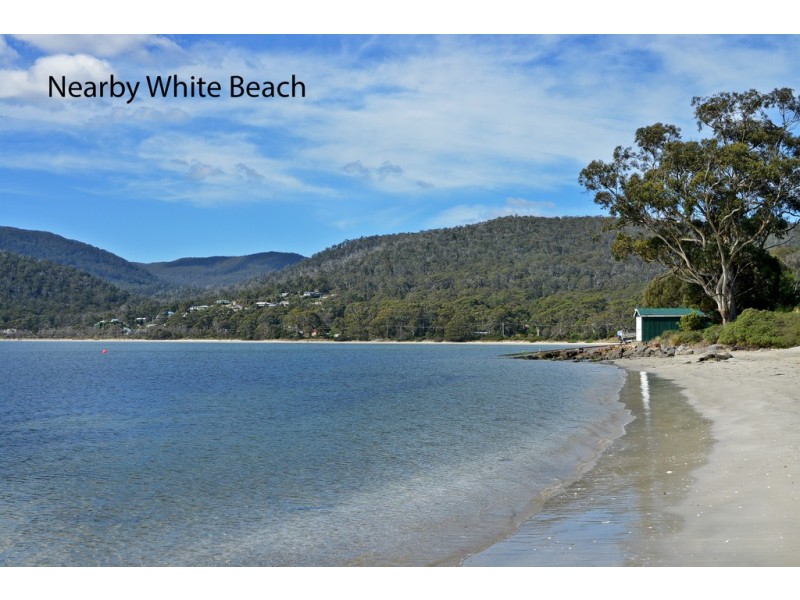 21 Fox Avenue, White Beach TAS 7184