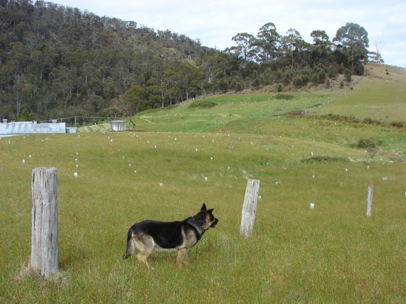 1811 Main rd, Nubeena TAS 7184