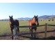2899 Tasman Highway, Penna TAS 7171