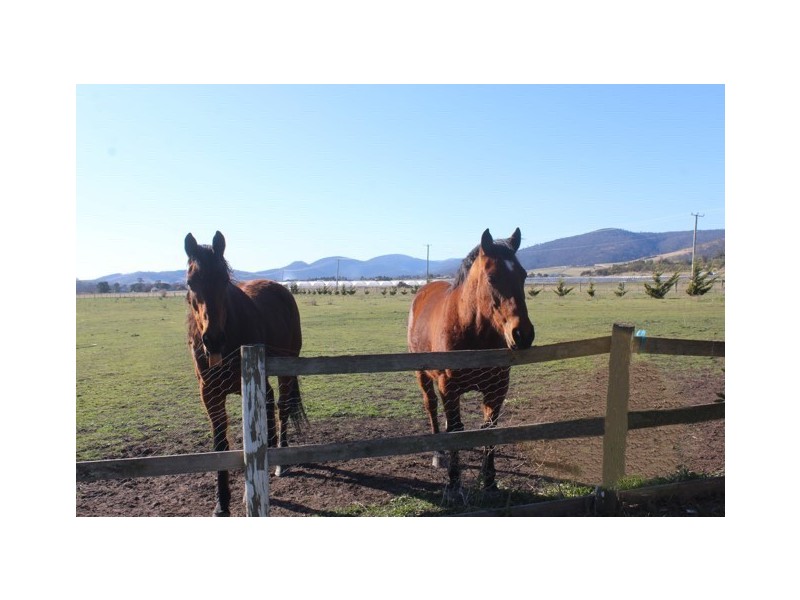 2899 Tasman Highway, Penna TAS 7171