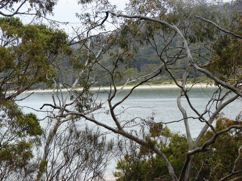 371 White Beach rd, White Beach TAS 7184