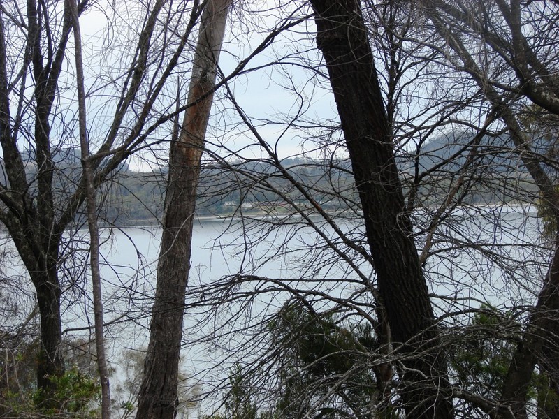 371 White Beach rd, White Beach TAS 7184