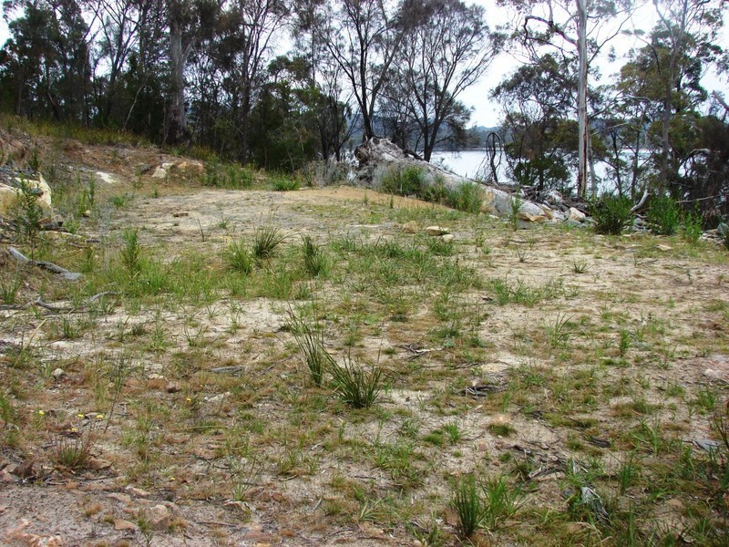 371 White Beach rd, White Beach TAS 7184