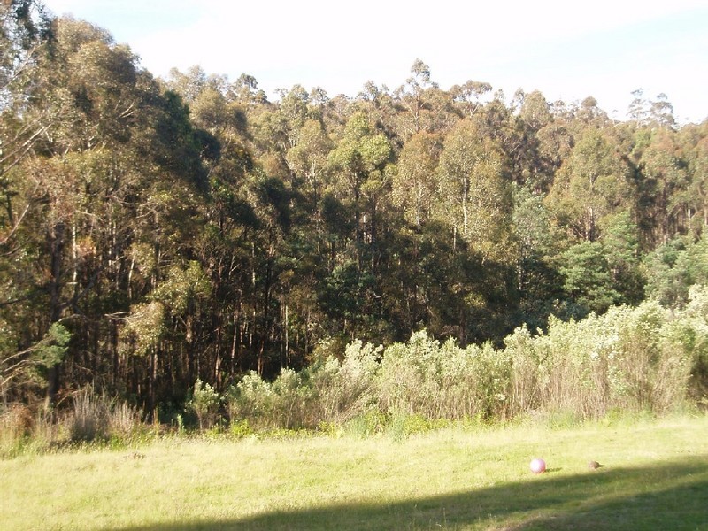 120 Bezzants Road, Nugent TAS 7172