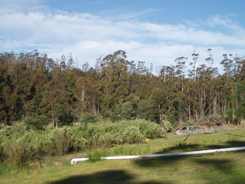 120 Bezzants Road, Nugent TAS 7172