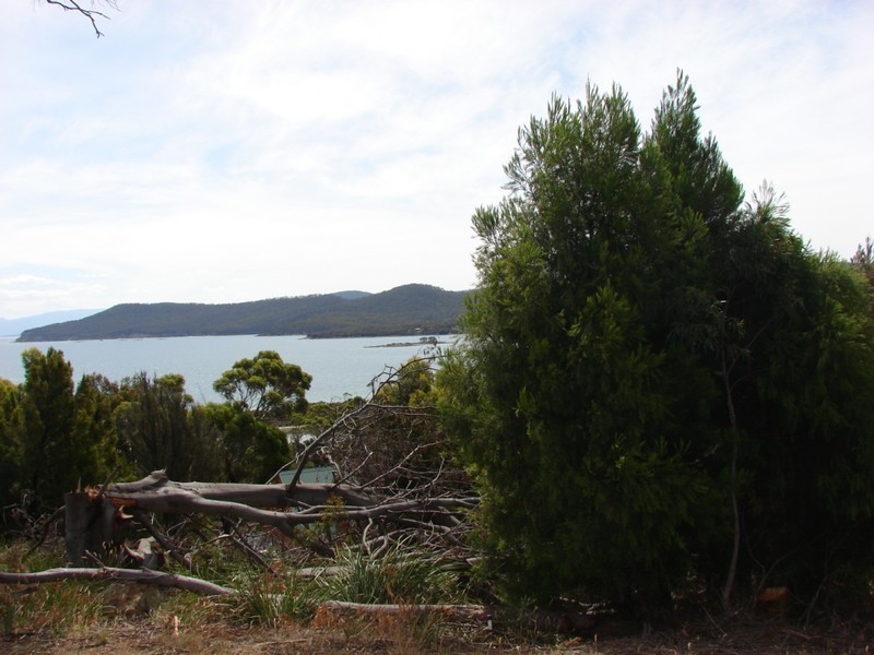 71 Lagoon rd, White Beach TAS 7184