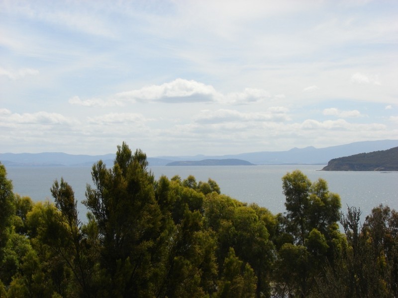 71 Lagoon rd, White Beach TAS 7184