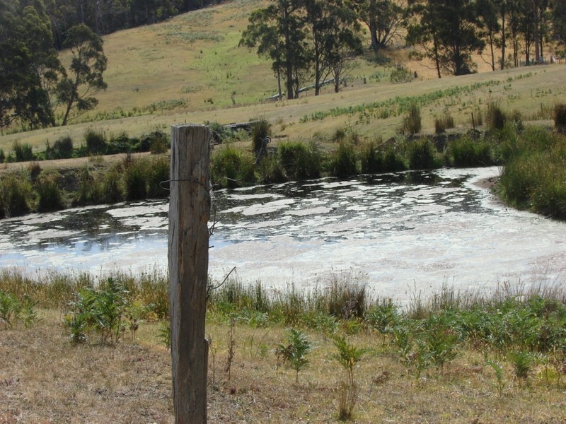L1 Nubeena road, Nubeena TAS 7184