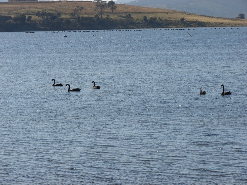 106 Bay Road, Boomer Bay TAS 7177