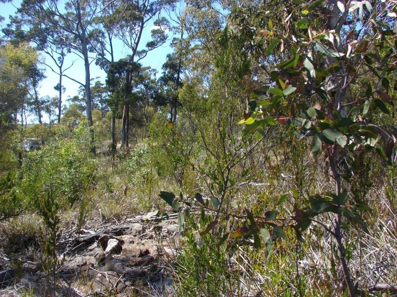 White Beach TAS 7184