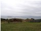 Lot 1 Linden Road, Primrose Sands TAS 7173
