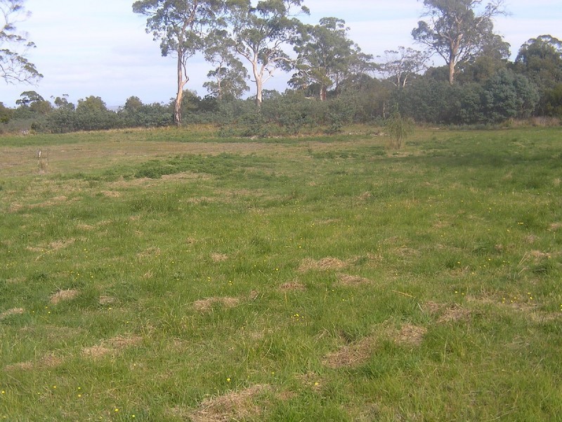 352 Carlton River Road, Carlton River TAS 7173