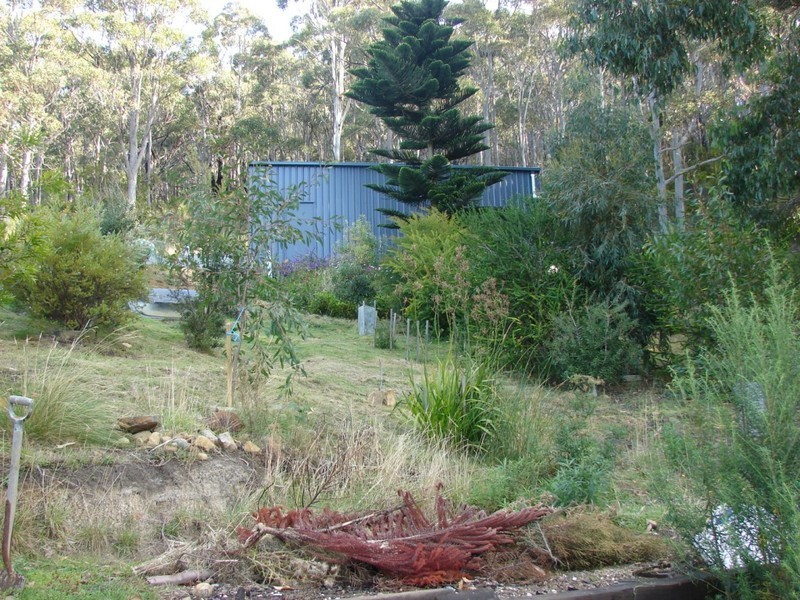 Eaglehawk Neck TAS 7179