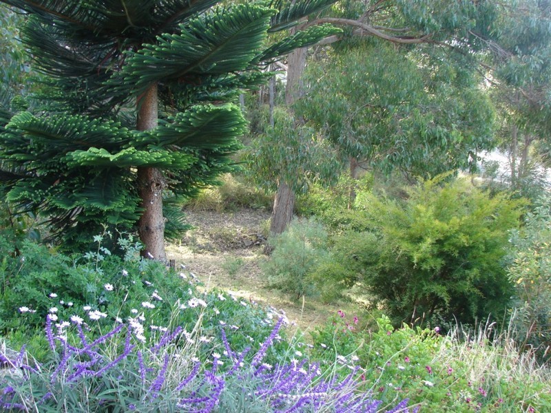Eaglehawk Neck TAS 7179