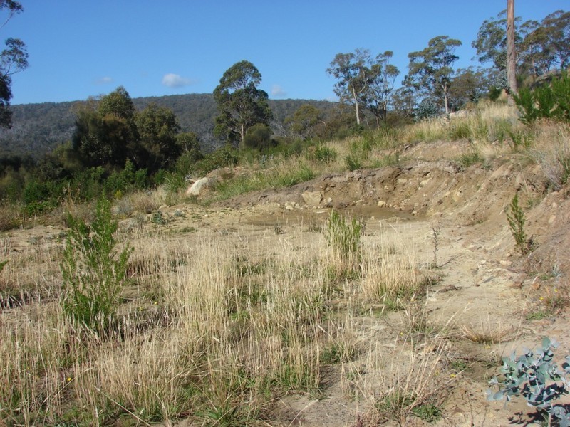 White Beach TAS 7184