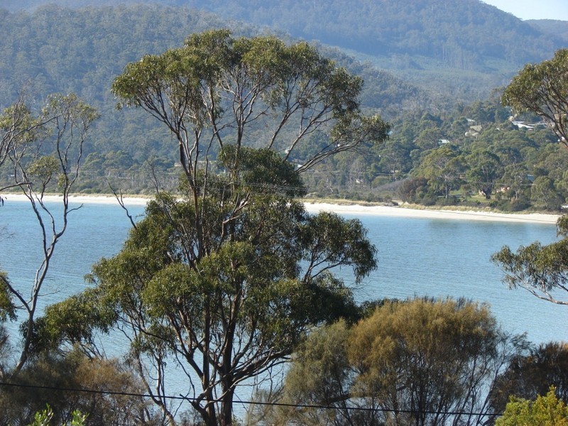 White Beach TAS 7184