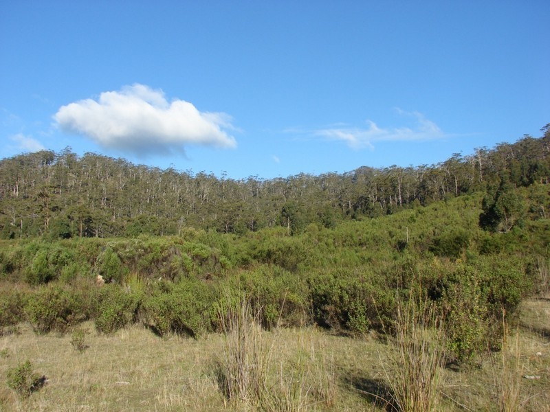 Saltwater River TAS 7186