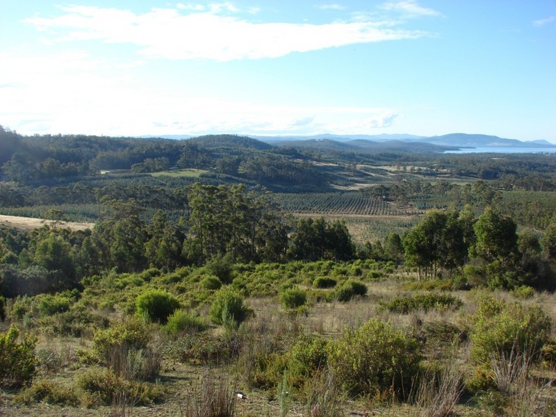 Saltwater River TAS 7186
