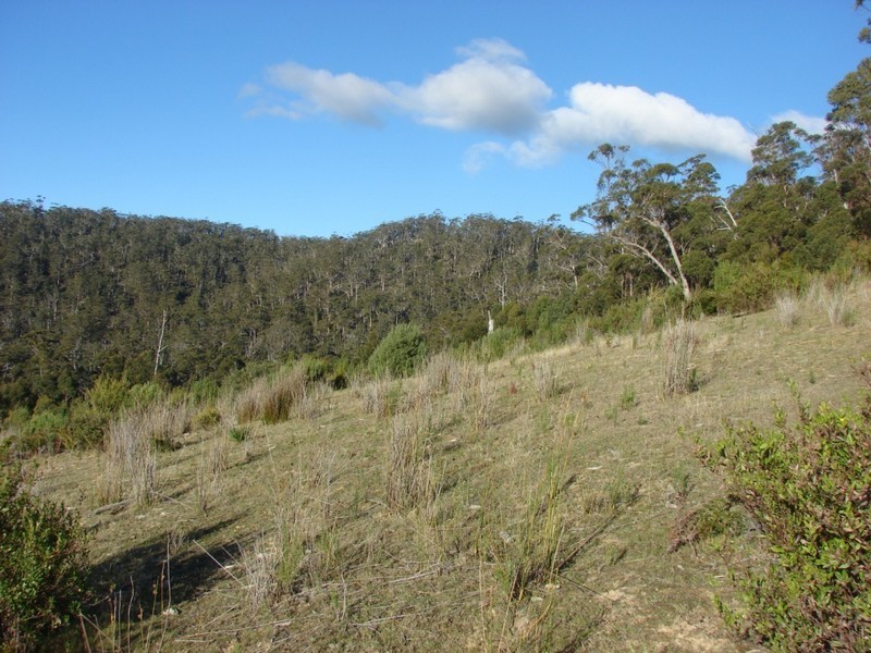 Saltwater River TAS 7186