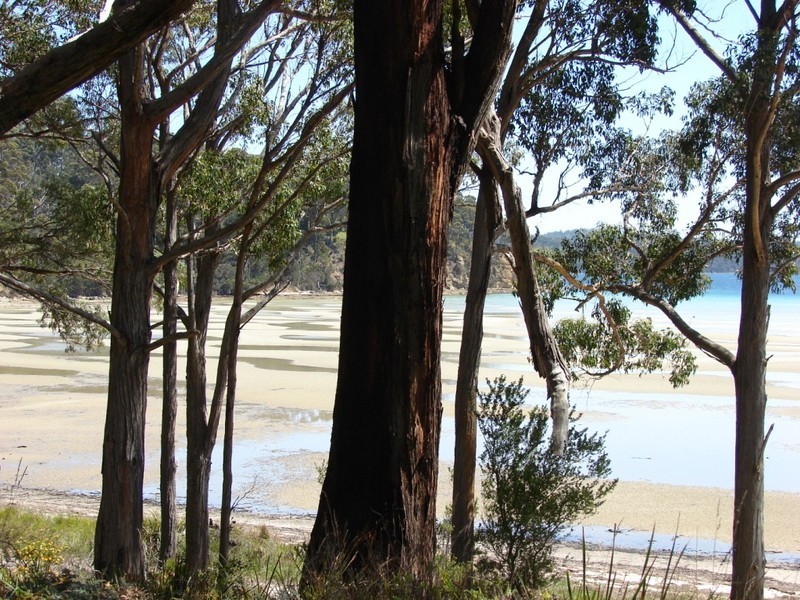 709 Nubeena rd, Koonya TAS 7187