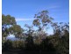 3 DEBORAH LANE, Dodges Ferry TAS 7173