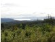 L1 Dam Road, Saltwater River TAS 7186