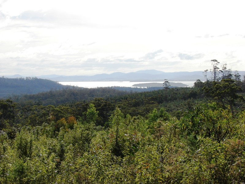 L1 Dam Road, Saltwater River TAS 7186