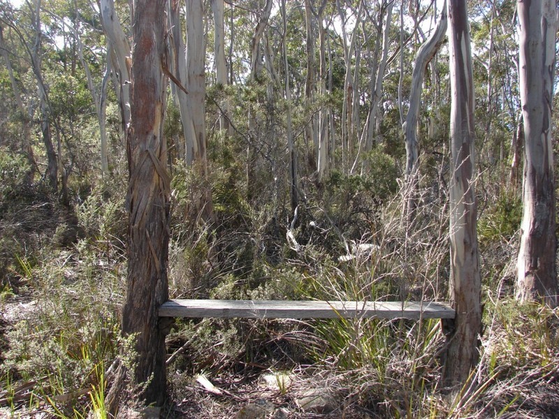 Eaglehawk Neck TAS 7179