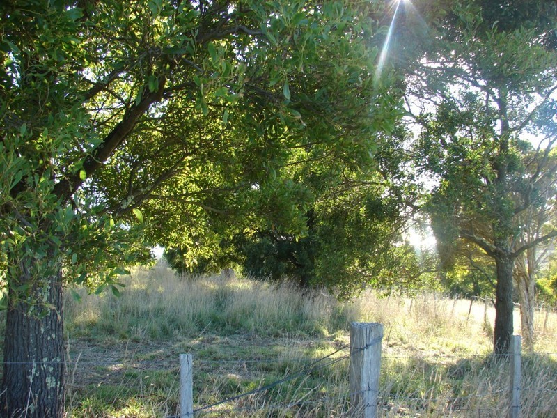 L1 Littles rd, Premaydena TAS 7185