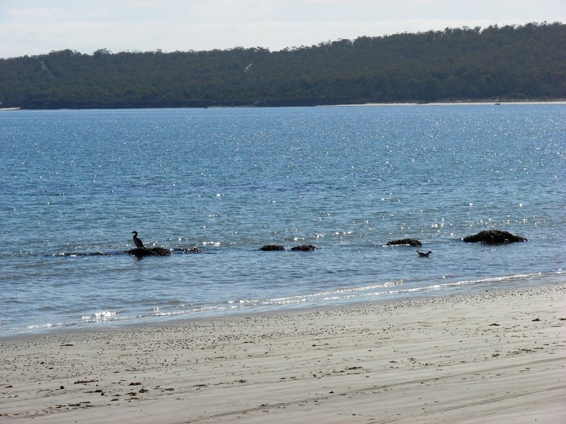 Saltwater River TAS 7186