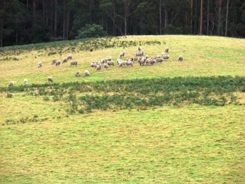 L1 and L3 Riflerange Road, Nubeena TAS 7184