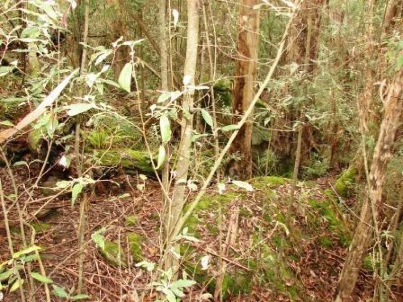 L1 and L3 Riflerange Road, Nubeena TAS 7184