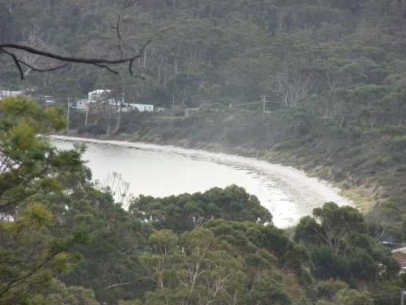 80 Lagoon Road, White Beach TAS 7184