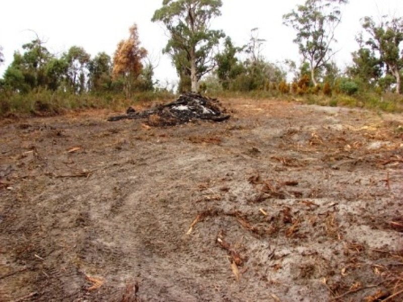 80 Lagoon Road, White Beach TAS 7184