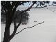 80 Lagoon Road, White Beach TAS 7184