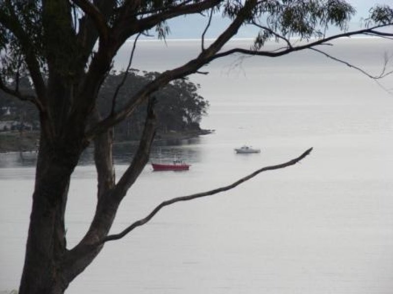 80 Lagoon Road, White Beach TAS 7184