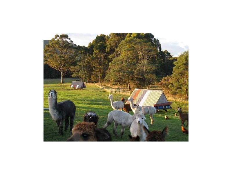 147 Marsh Rd, Nubeena TAS 7184