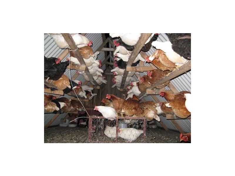 147 Marsh Rd, Nubeena TAS 7184