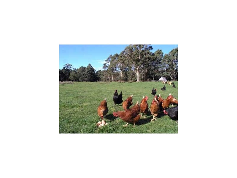 147 Marsh Rd, Nubeena TAS 7184